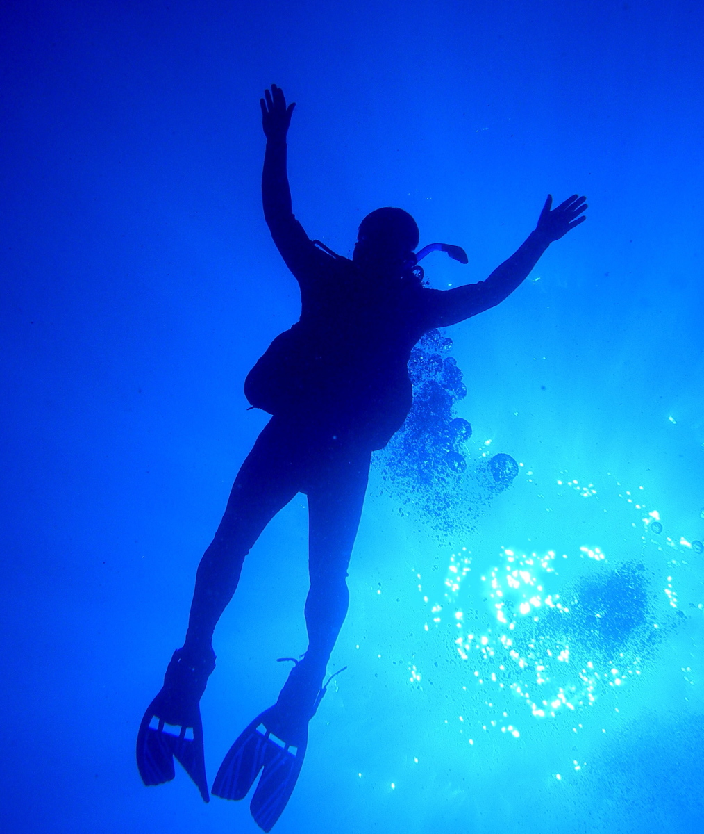 Diver Jean-Michel Cousteau Diver Jean-Michel Cousteau