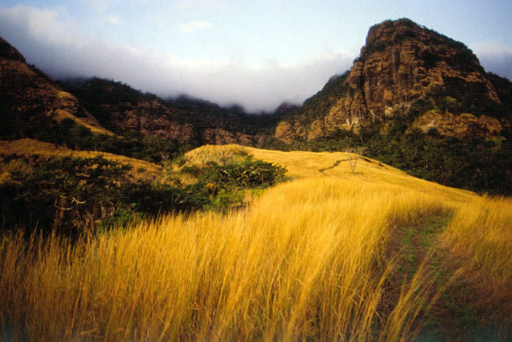 Koroyanitu National Heritage Park Koroyanitu National Heritage Park