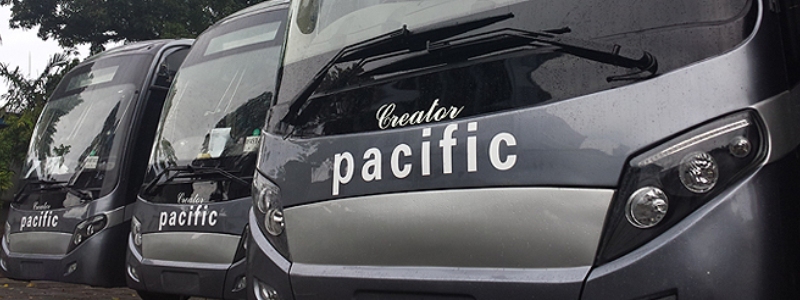 Pacific Transport Buses Lined up in a row Pacific Transport Buses Lined up in a row