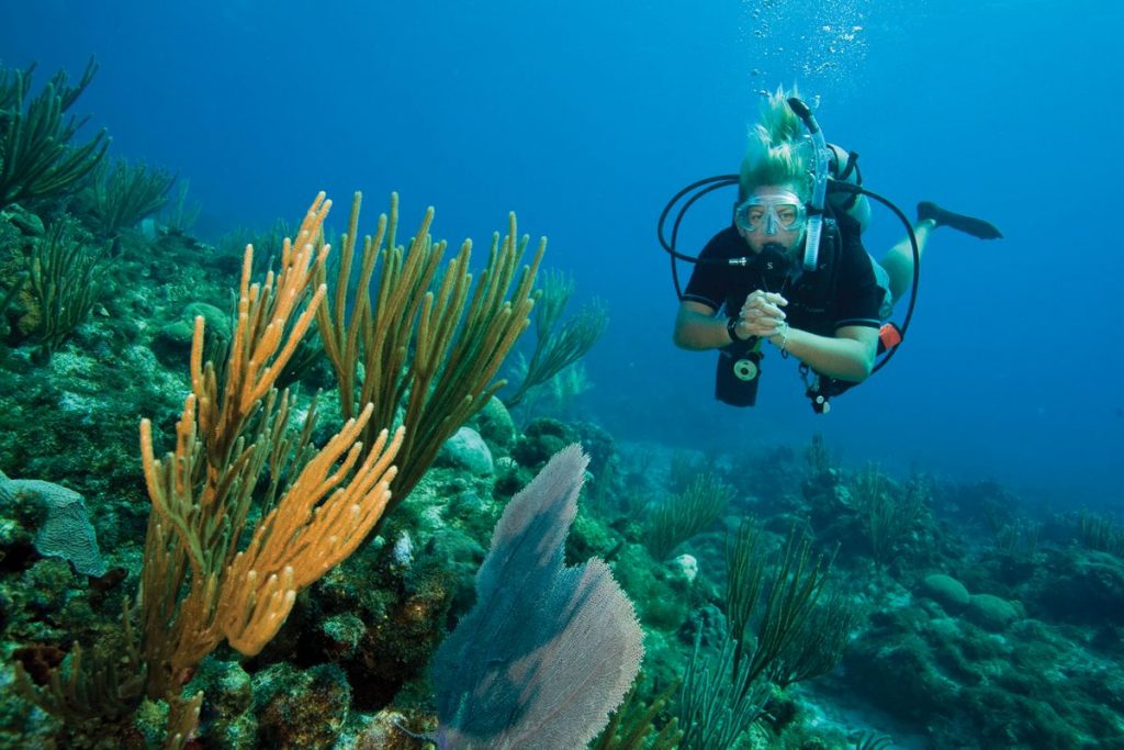 Diving at Blue Lagoon Beach Resort Diving at Blue Lagoon Beach Resort