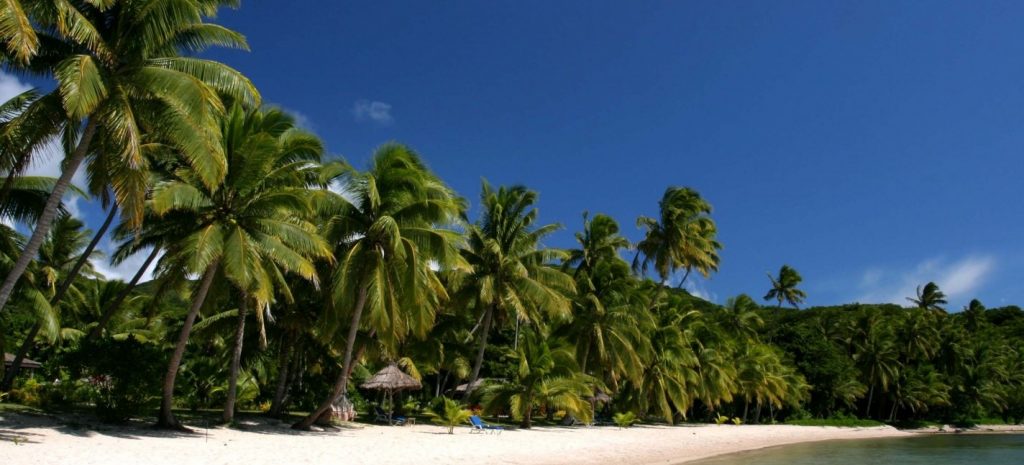 Beachfront at Papageno Eco-Resort Beachfront at Papageno Eco-Resort