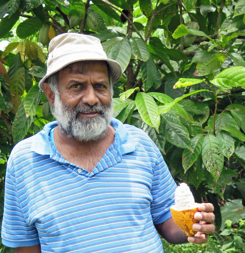 Naresh (Bobby) Shankaran is holding a cocoa pod in his left hand.