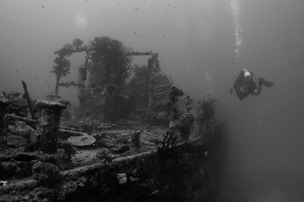 Ship Wreck Diving World Class at Lalati Ship Wreck Diving World Class at Lalati