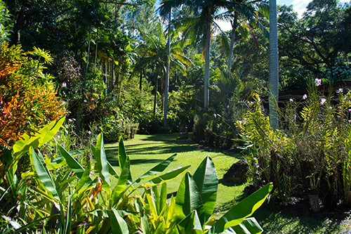 Garden of the Sleeping Giant - Nadi Attractions Garden of the Sleeping Giant is another of the not to be missed Nadi, Denarau & Lautoka area attractions
