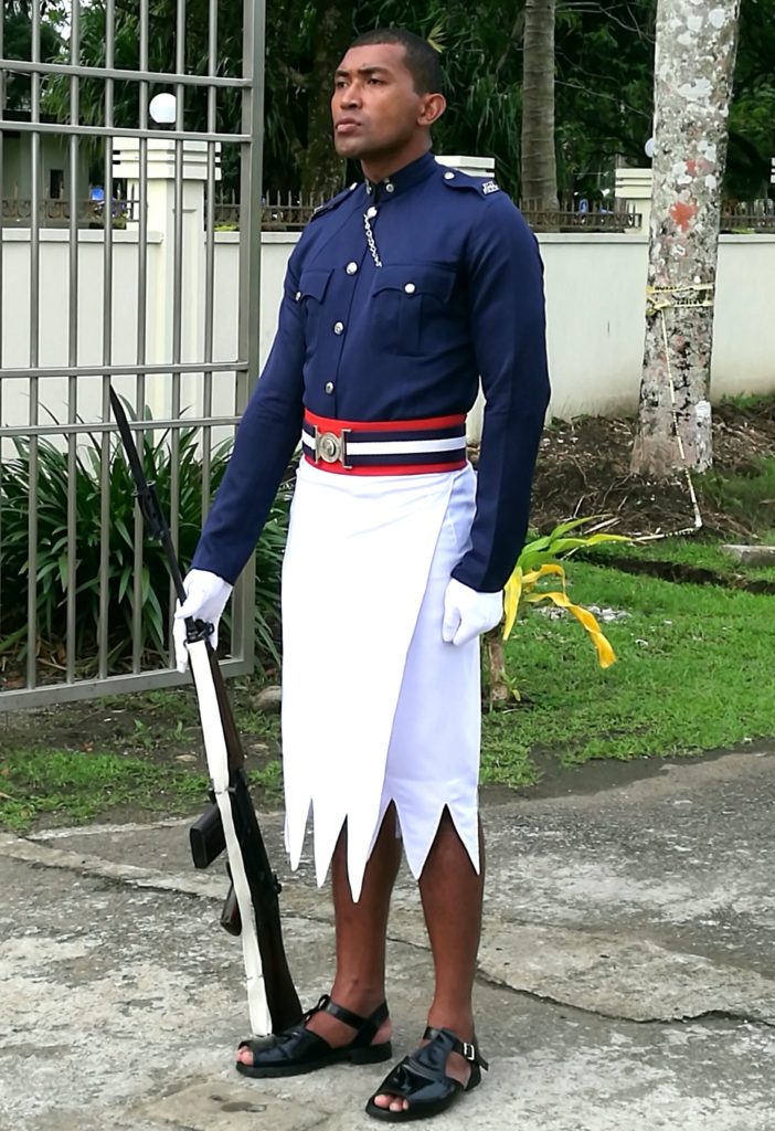 Standing Guard at the entrance of the Presidential Palace Solider standing guard at the Gate of the Presidential Palace
