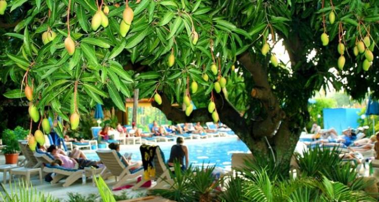 Nadi Bay Hotel Poolside - Nadi Hotels Nadi Bay Hotel Poolside - One of the better budget Nadi, Denarau and Lautoka Accommodations