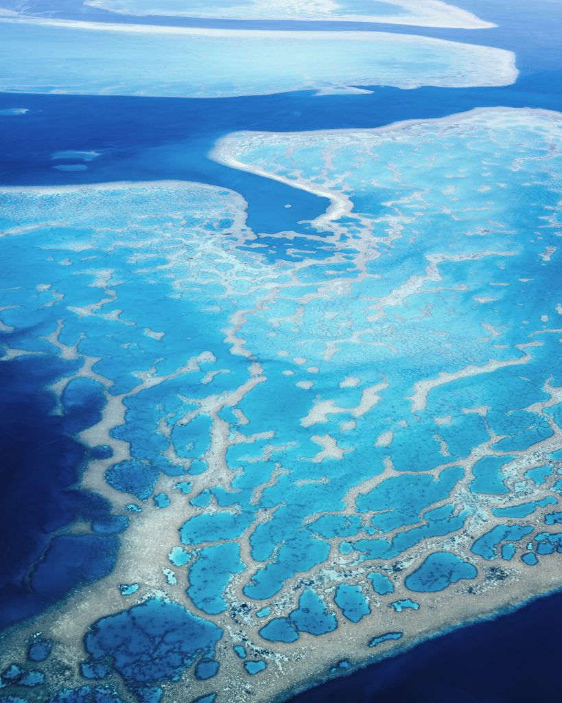 Coral Reefs - Fiji Islands Geography Coral Reefs - Fiji Islands Geography