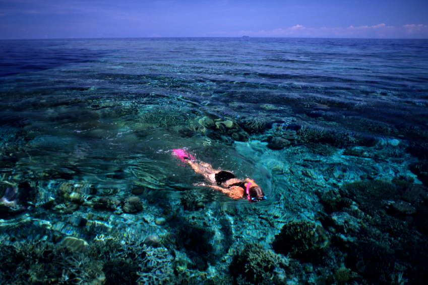 Snorkeling - Yasawa Island Resort Snorkeling - Yasawa Island Resort