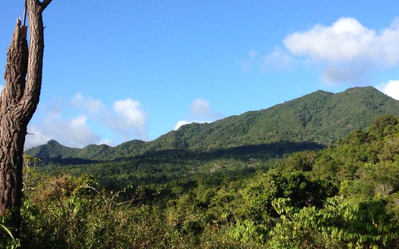 Fiji's highest mountain, Mt Tomaniivi (Mt Victoria), 1324m Fiji's highest mountain, Mt Tomaniivi (Mt Victoria), 1324m