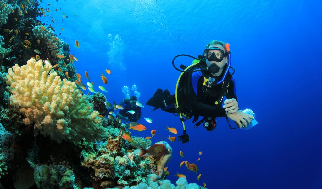 Diving at Wananavu Beach Resort Diving at Wananavu Beach Resort