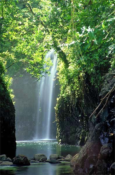 Ravilevu Nature Reserve Ravilevu Nature Reserve has a haunting beauty
