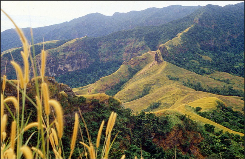 Typical scenery in the Sabeto mountains of Viti Levu