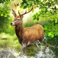 厮杀终章！纽约城对阵蒙特利尔，七月四日足球强震来袭