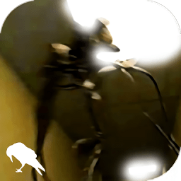 金刚官方网站体育武圣：布登的强项是进攻但太阳进攻没问题 他们是防守不行